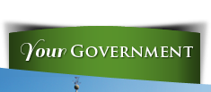 Your Government